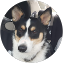 Tiffany Curtis profile picture